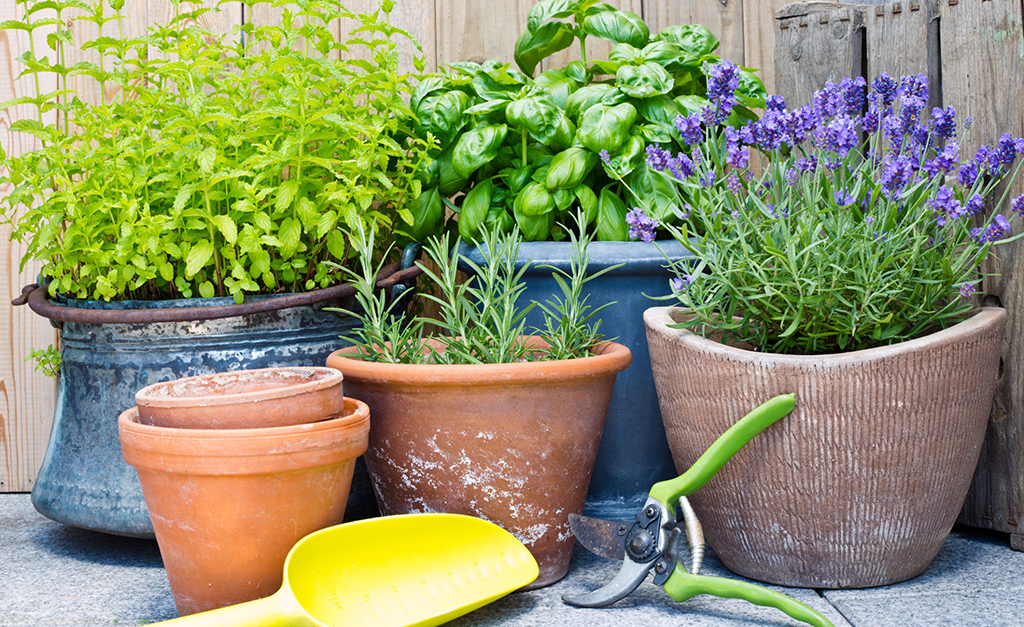 Garden Supplies Services