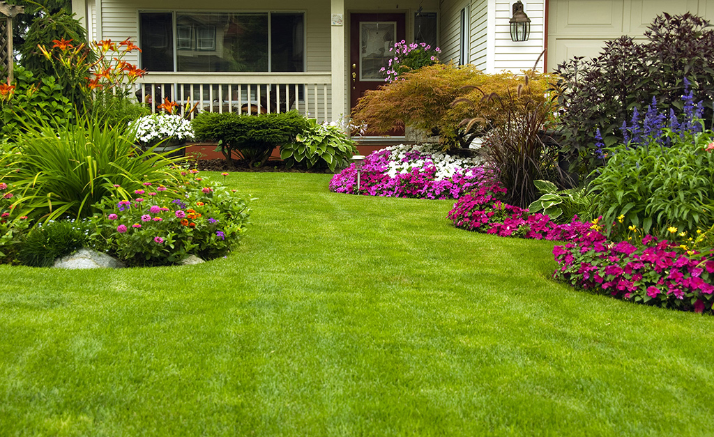 Landscaping Services