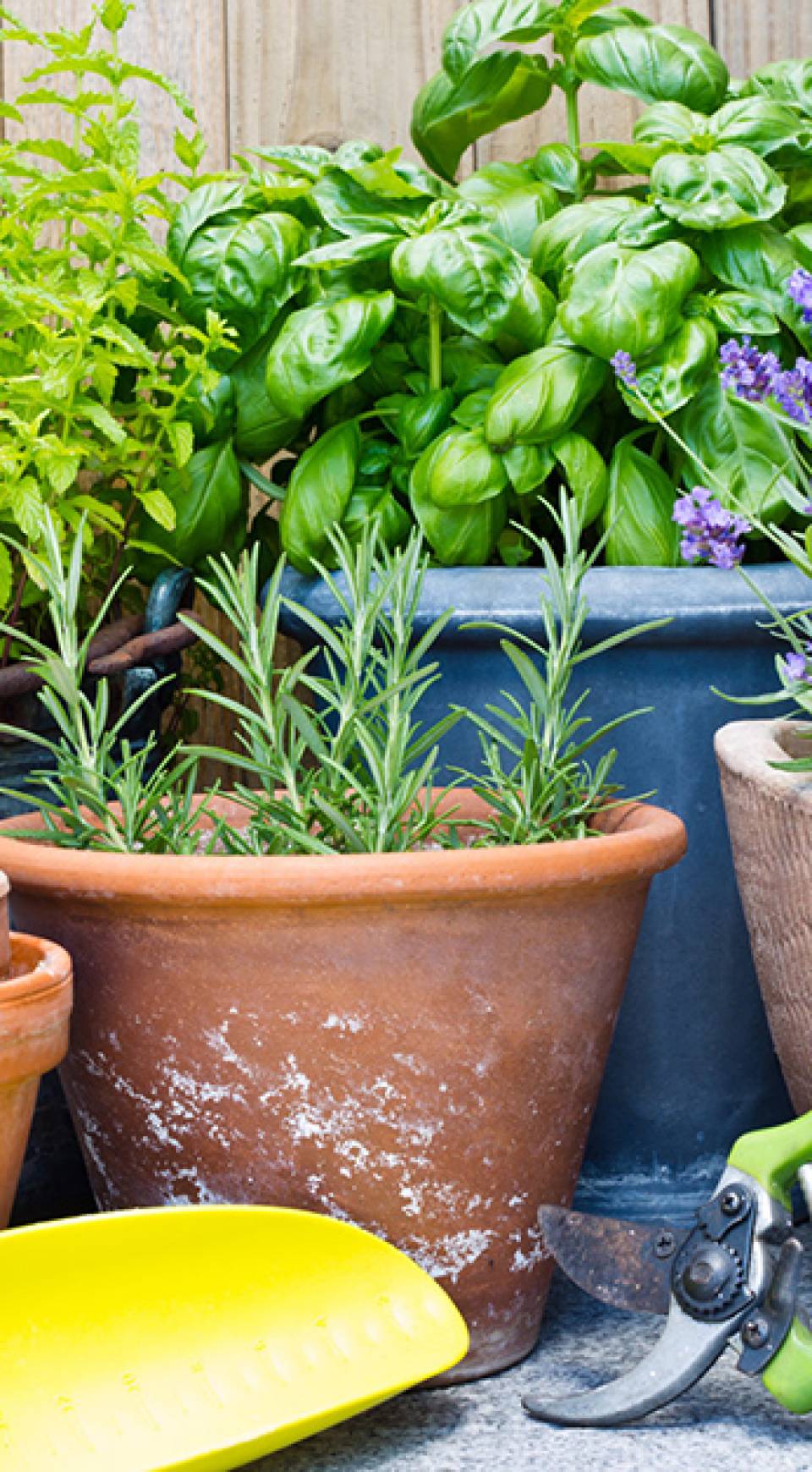 Garden Supplies Services