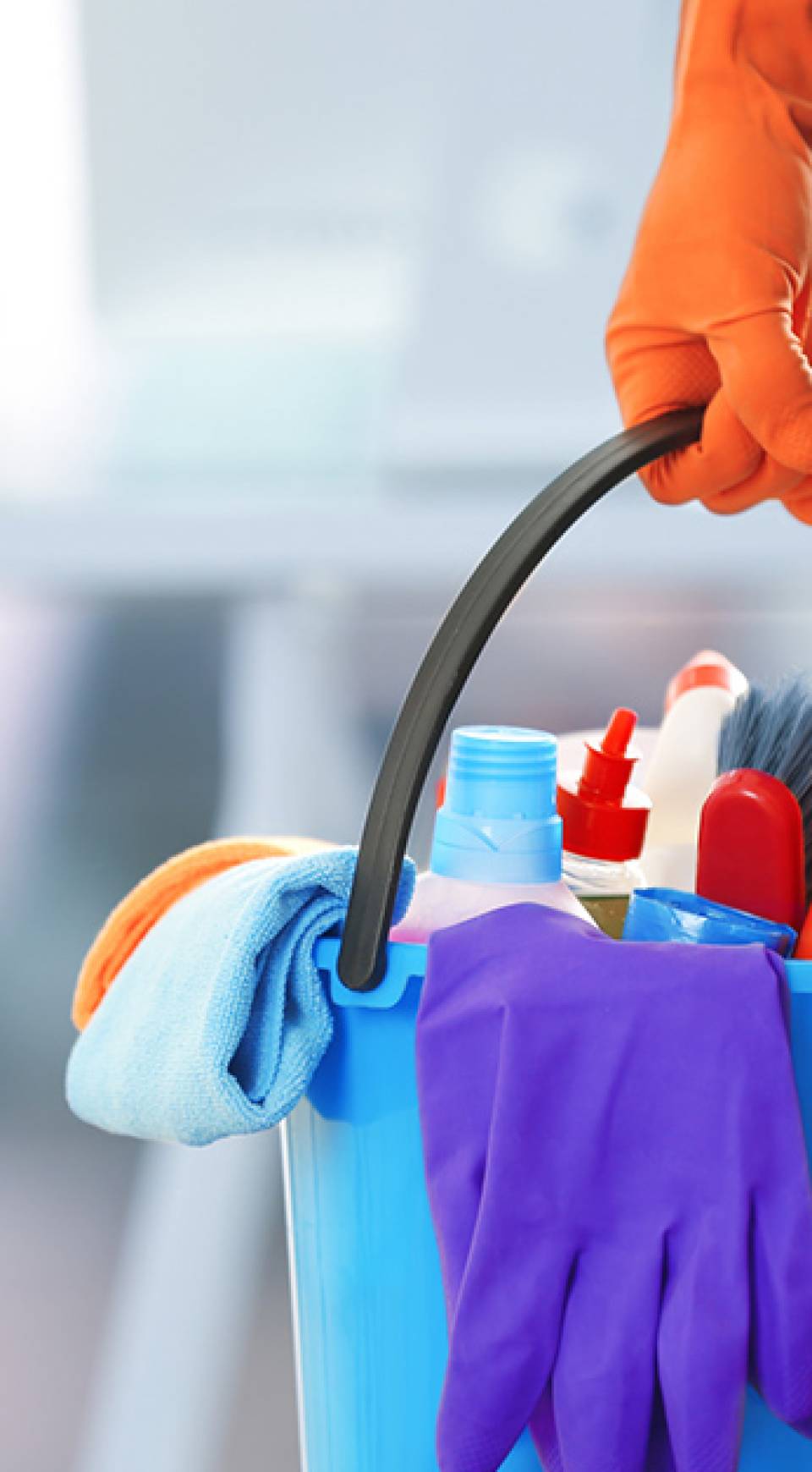 Cleaning Services